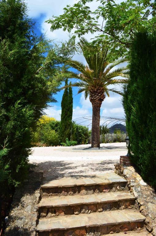 Cortijo Sabila Guest House Villanueva del Rosario Exterior photo