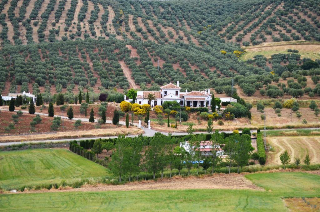 Cortijo Sabila Guest House Villanueva del Rosario Exterior photo